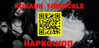 гидра Будённовск