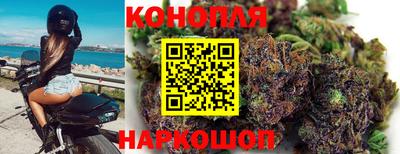 гидра Будённовск