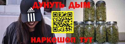 гидра Будённовск