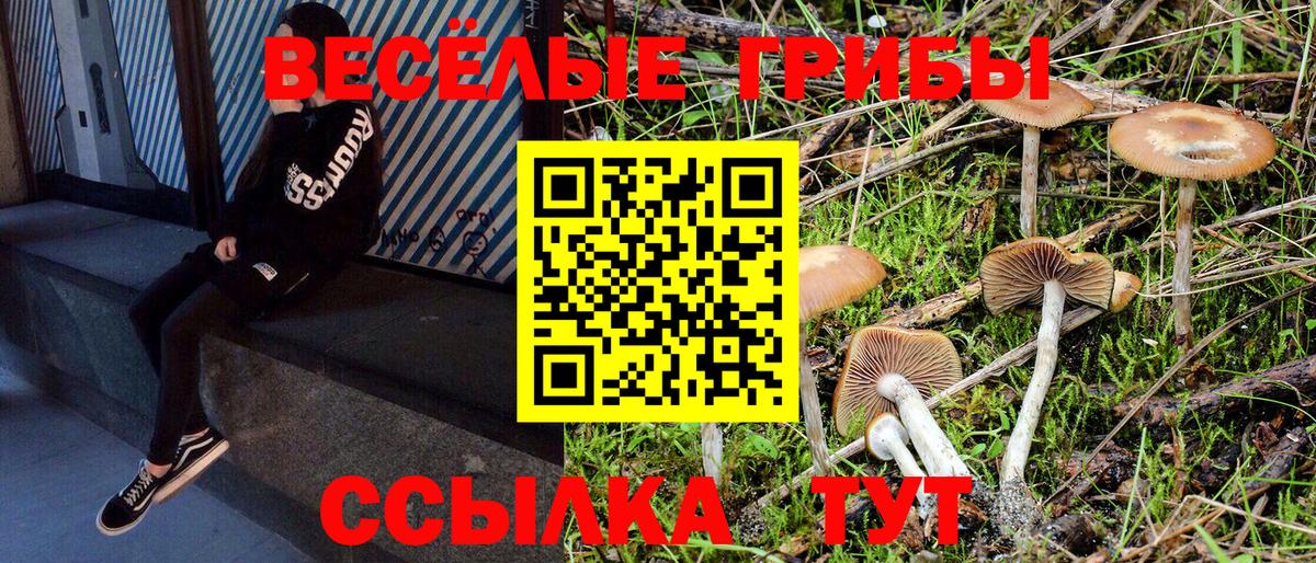 Псилоцибиновые грибы Magic Shrooms  Вход с VPN  Псилоцибиновые грибы Cubensis  Краснотурьинск 